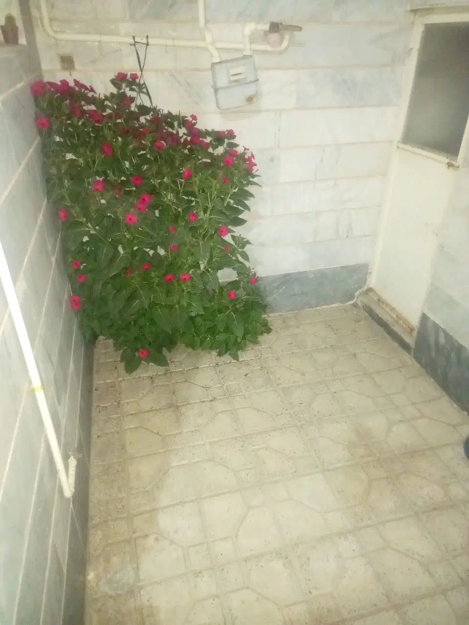 رهن واجاره خونه ۸۰ متری در خیابان فلسطین