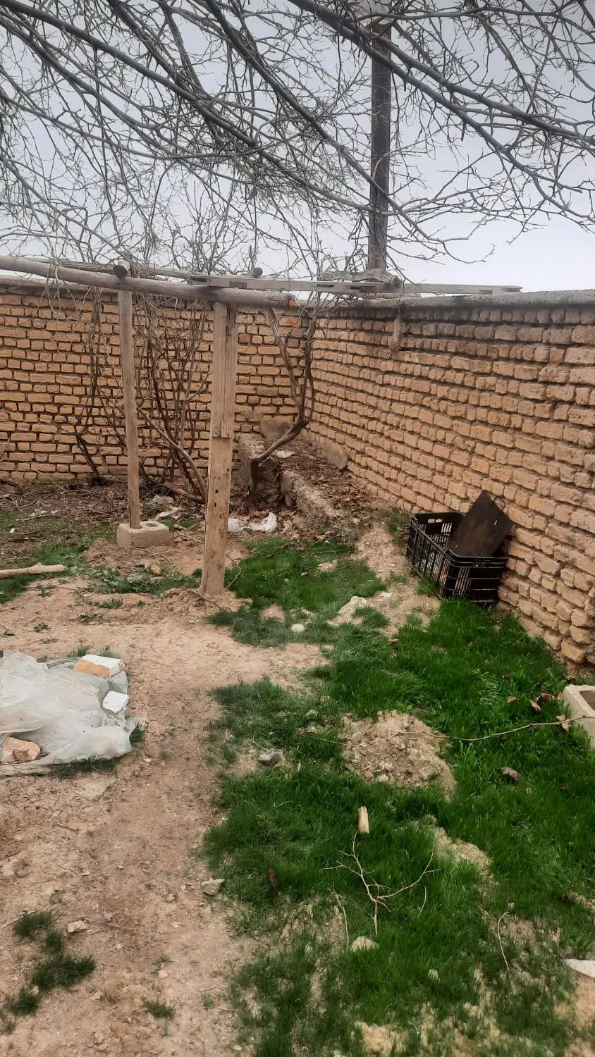 دامداری