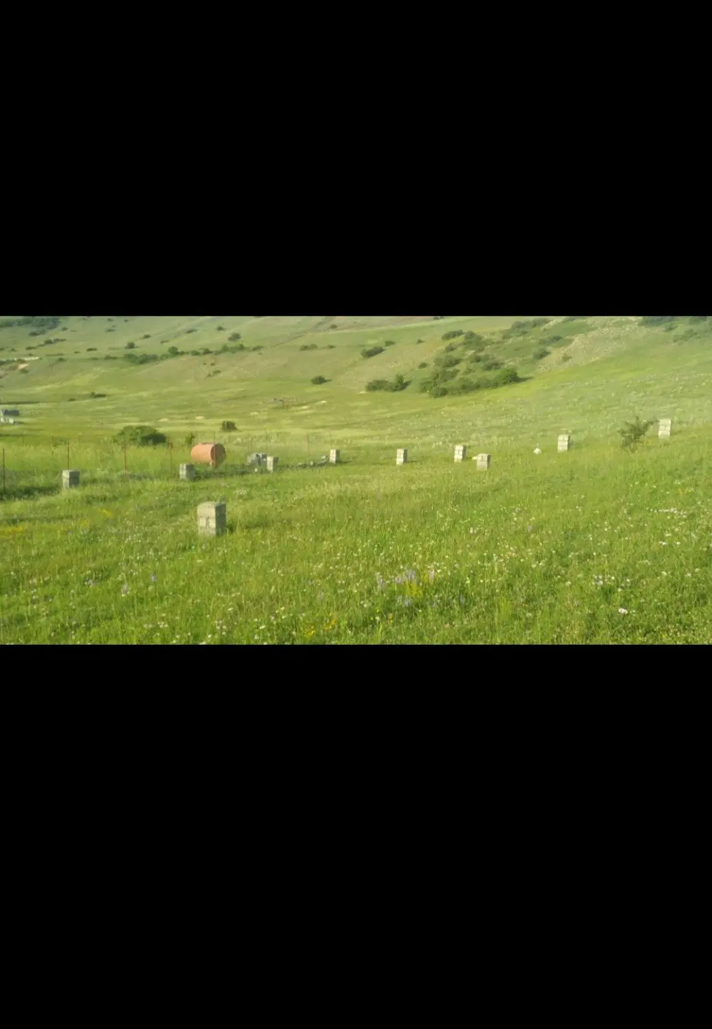 زمین به متراژ 500 مترمربع