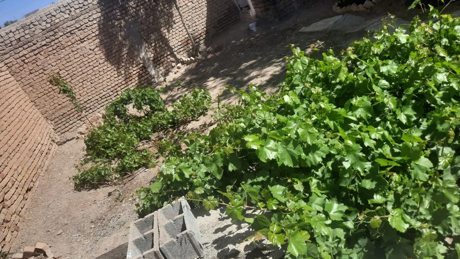 فروش خانه ویلایی تک کیلیده