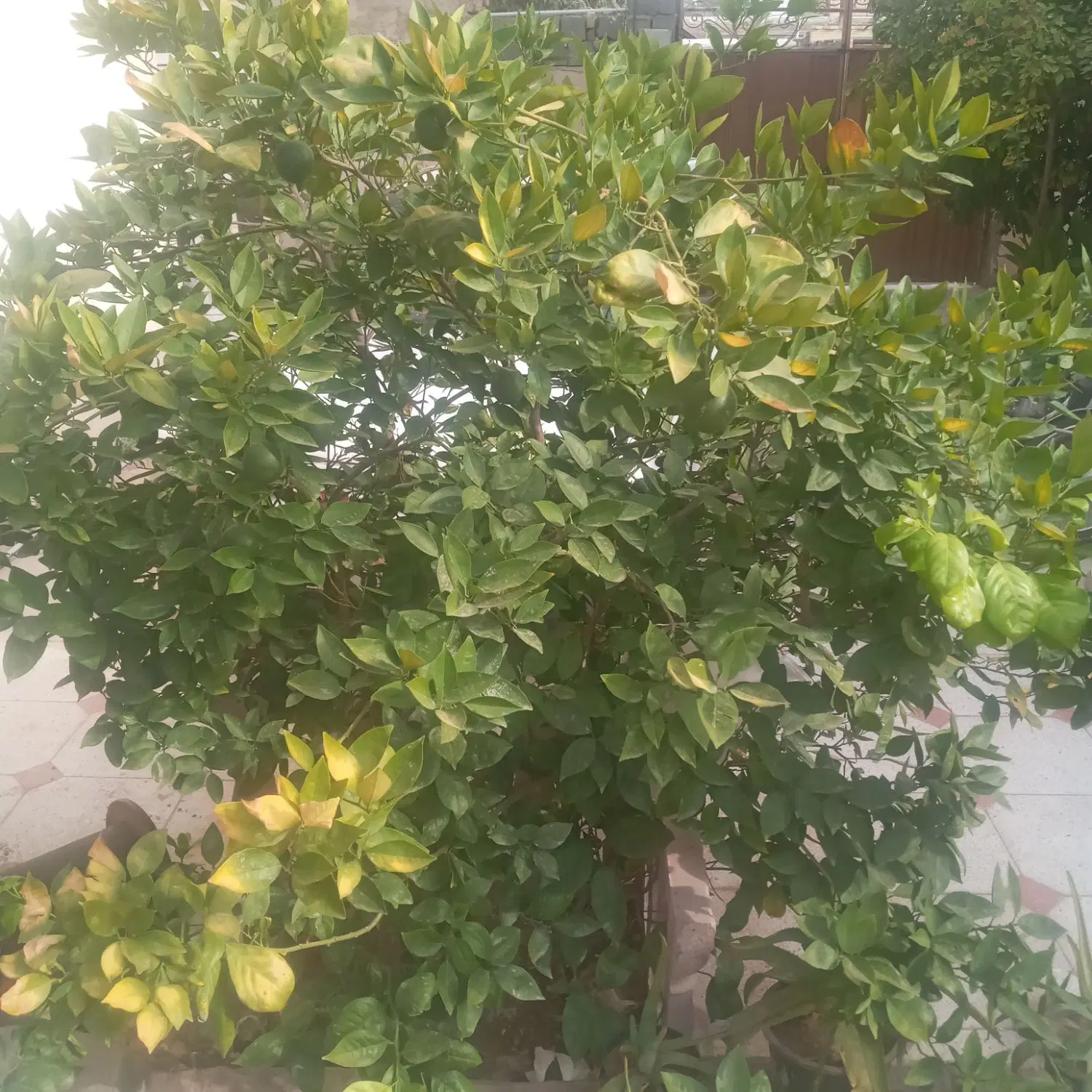 خانه فروشی