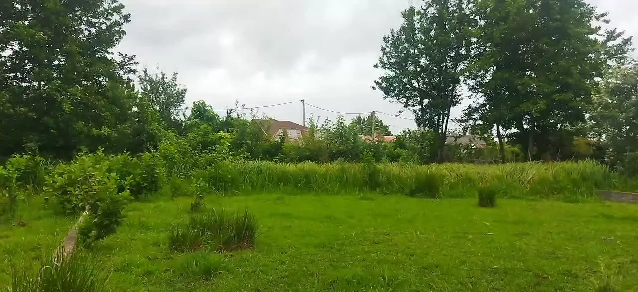 زمین فروشی جاده انزلی
