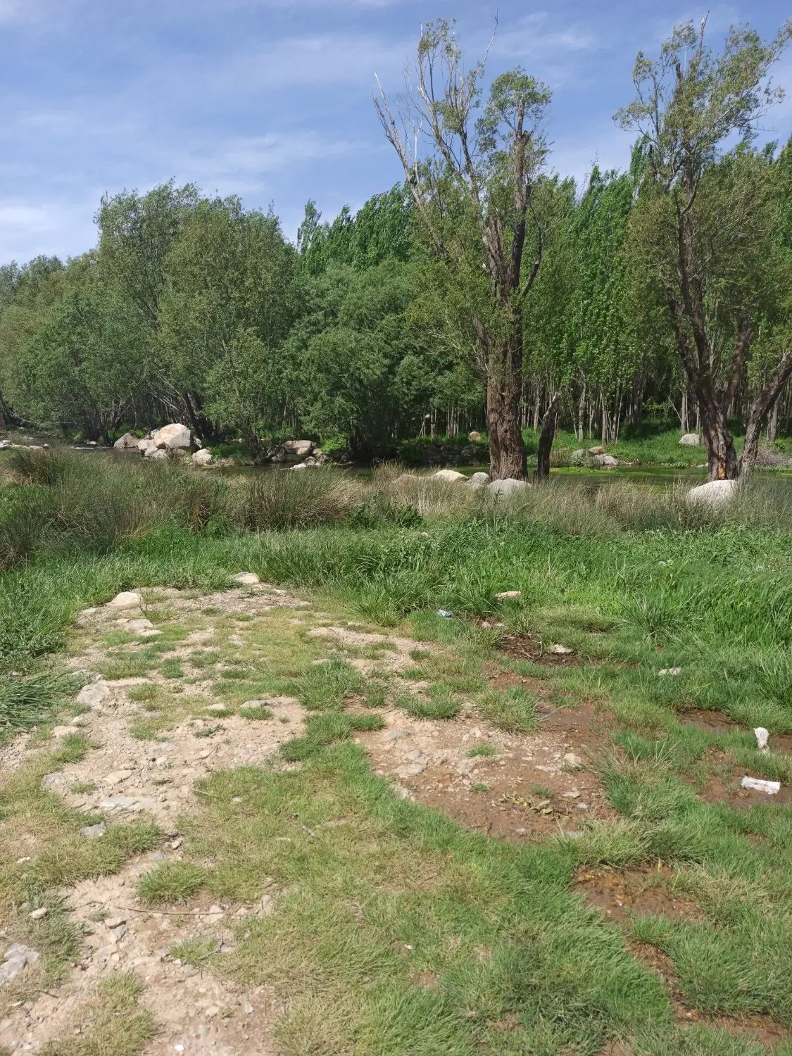 ۶۹ متر زمین بلوار کوچه ۱۰۱