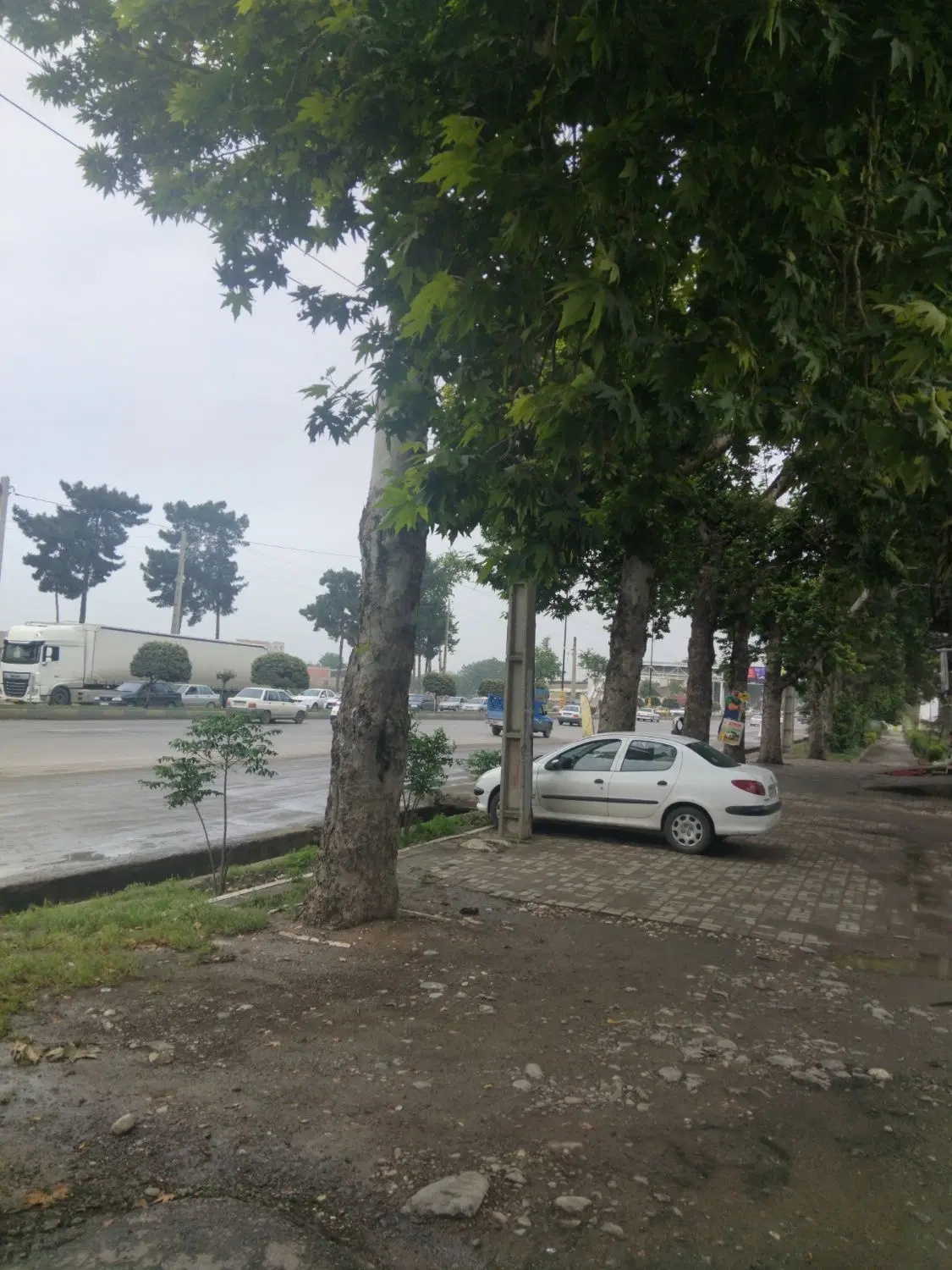 ۲۰۷مترزمین شامل ۷۰مترمغازه مابقی زمین ۱۲_۵