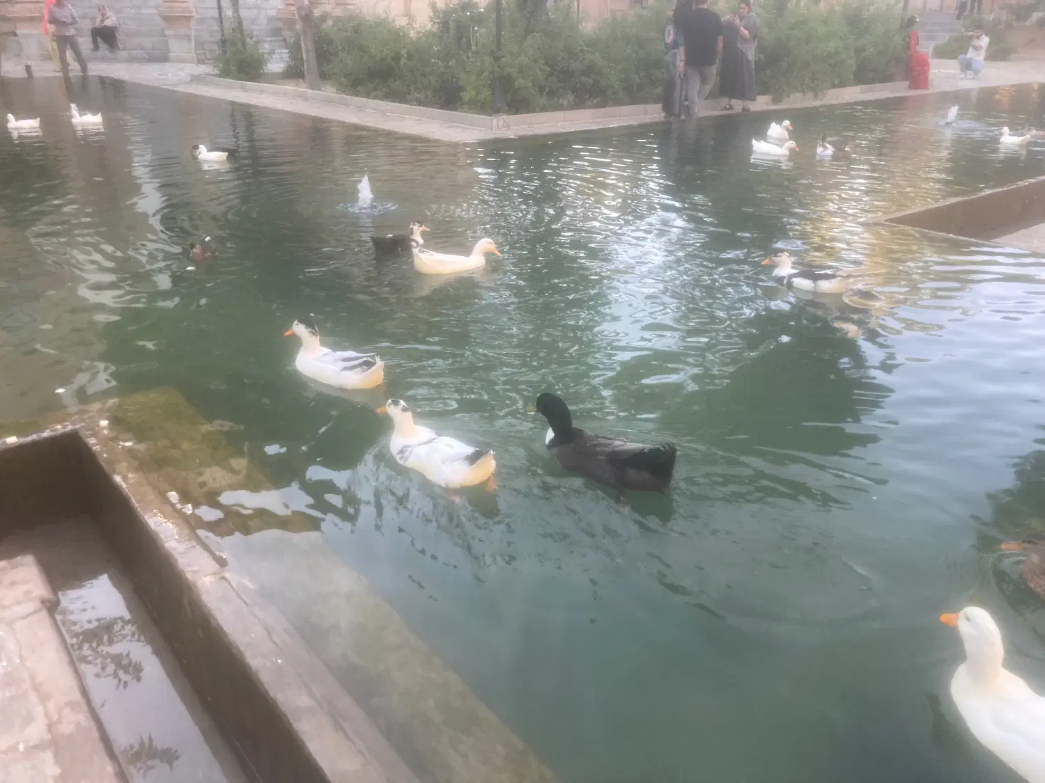 فروش زمین‌مسکونی حسن آباد