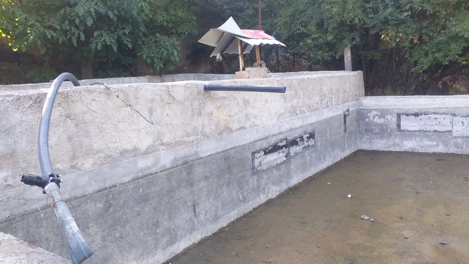 باغ