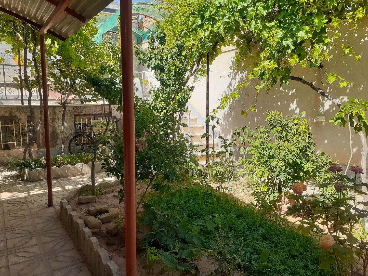 ویلایی کوی تربیت