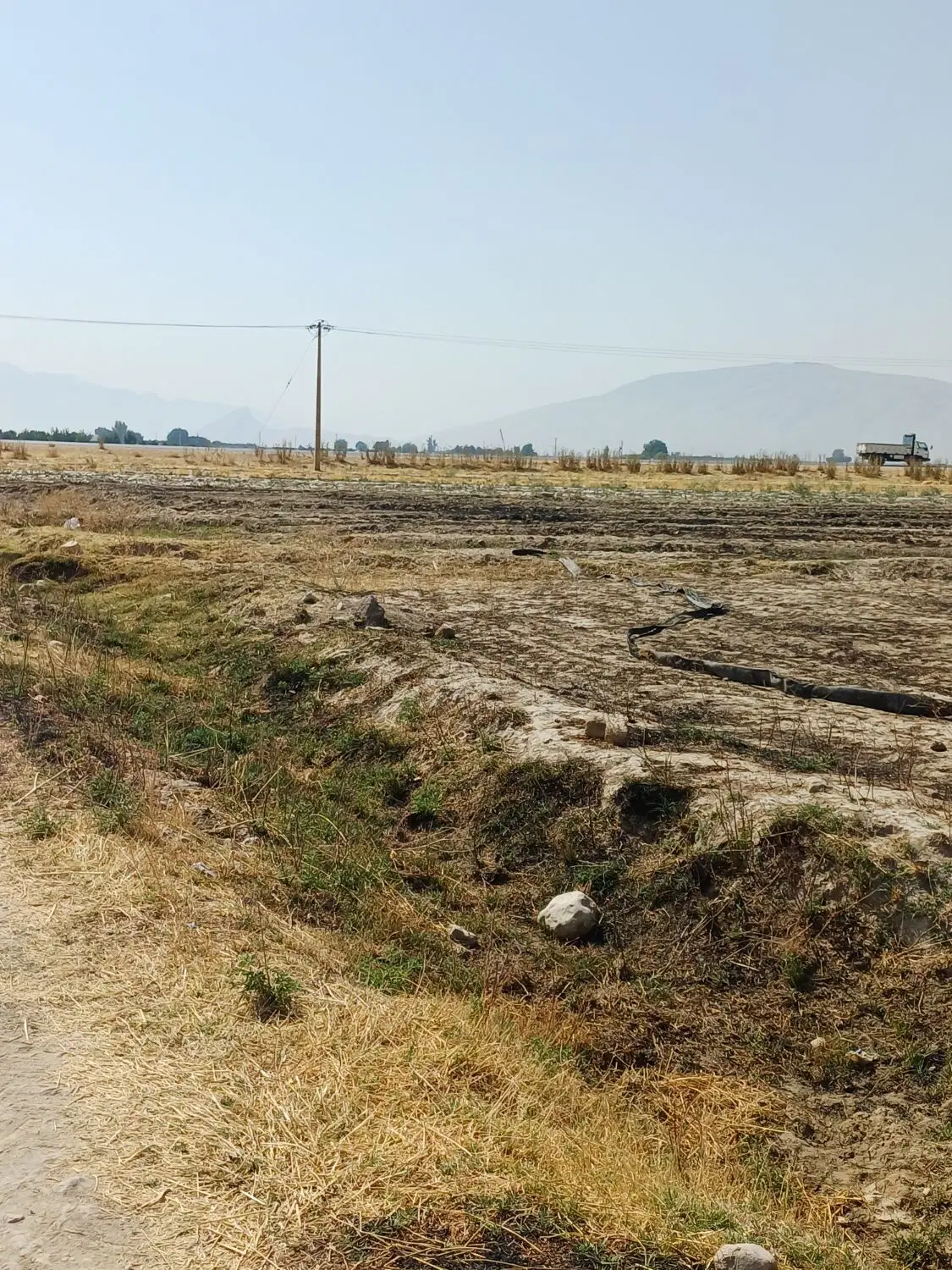 زمین کشاورزی