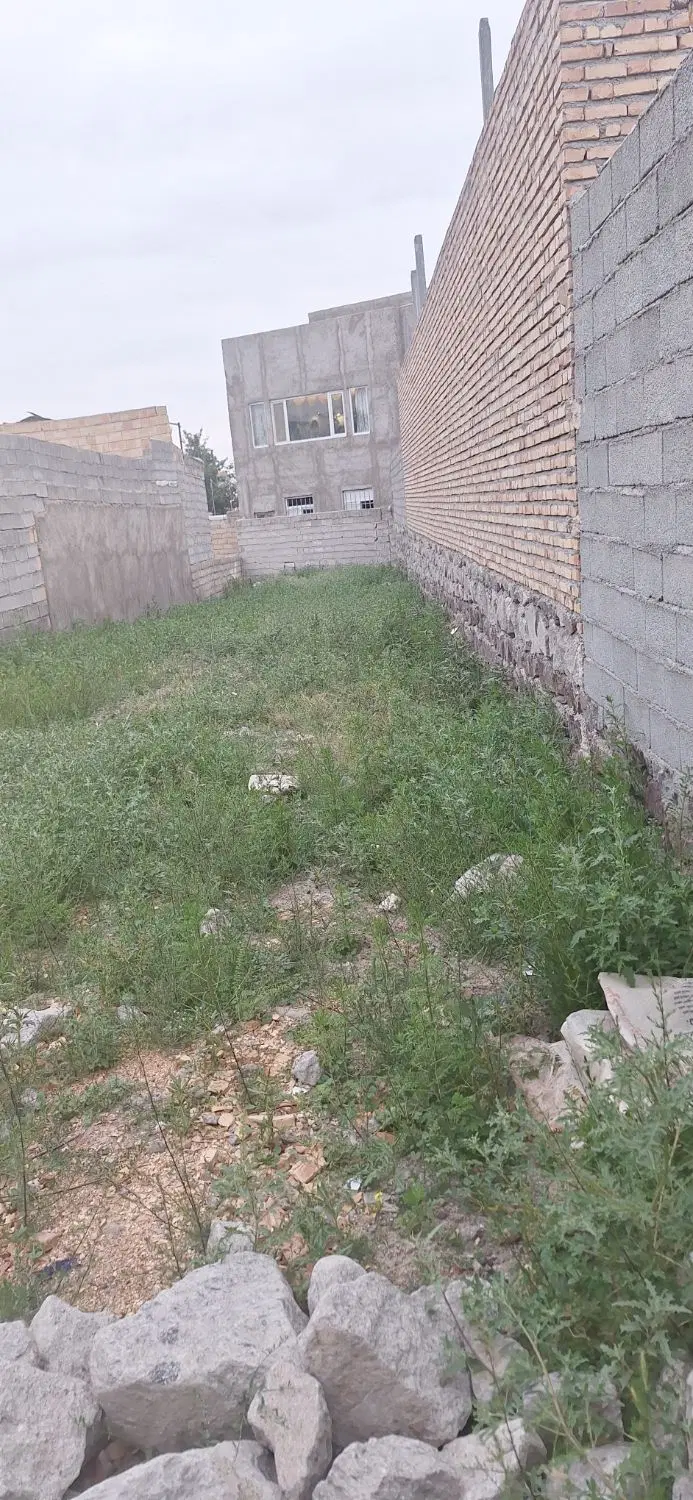 زمین در کوی ولایت