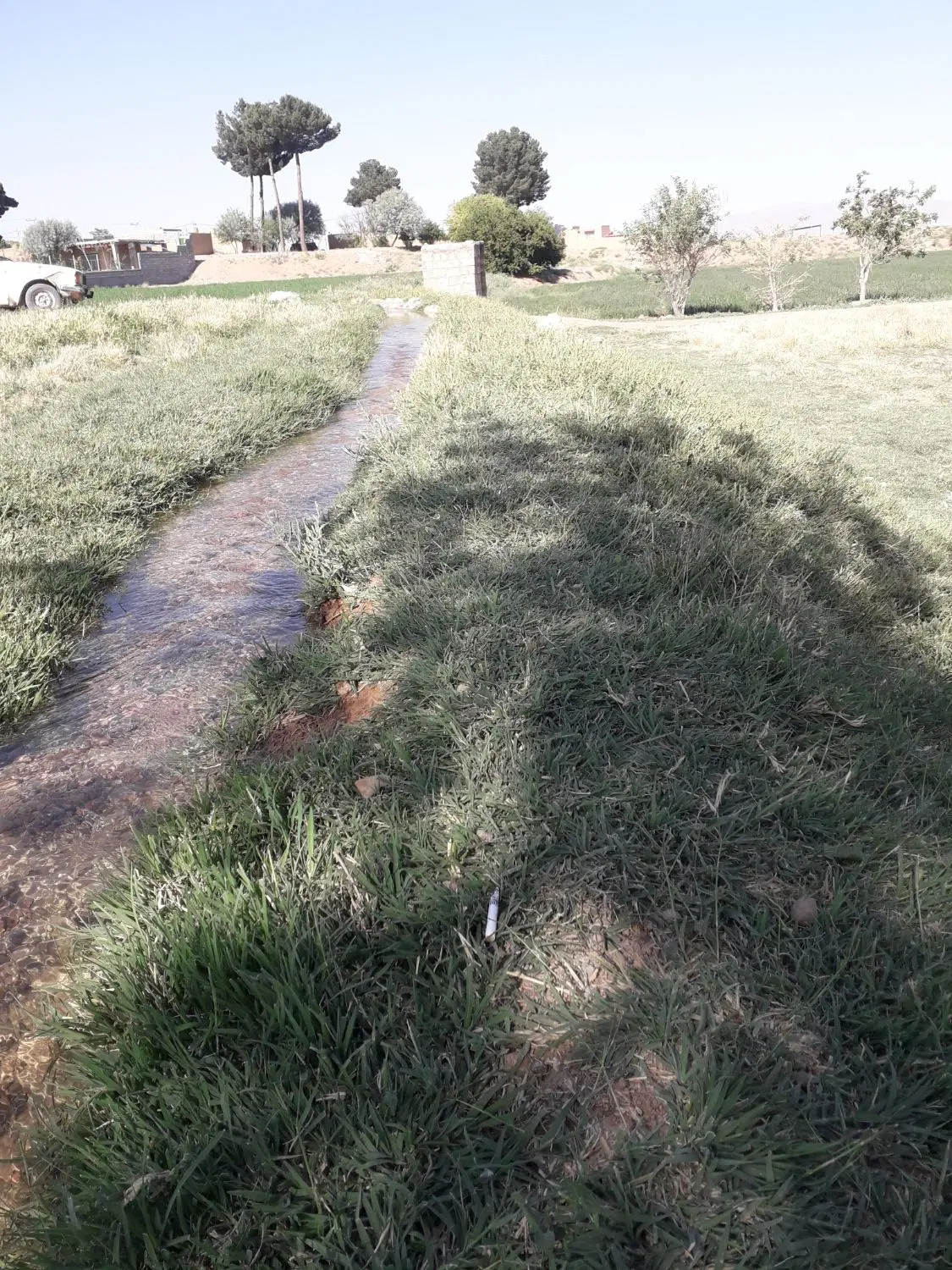 زمین شمالی ورنامخواست خ مولوی