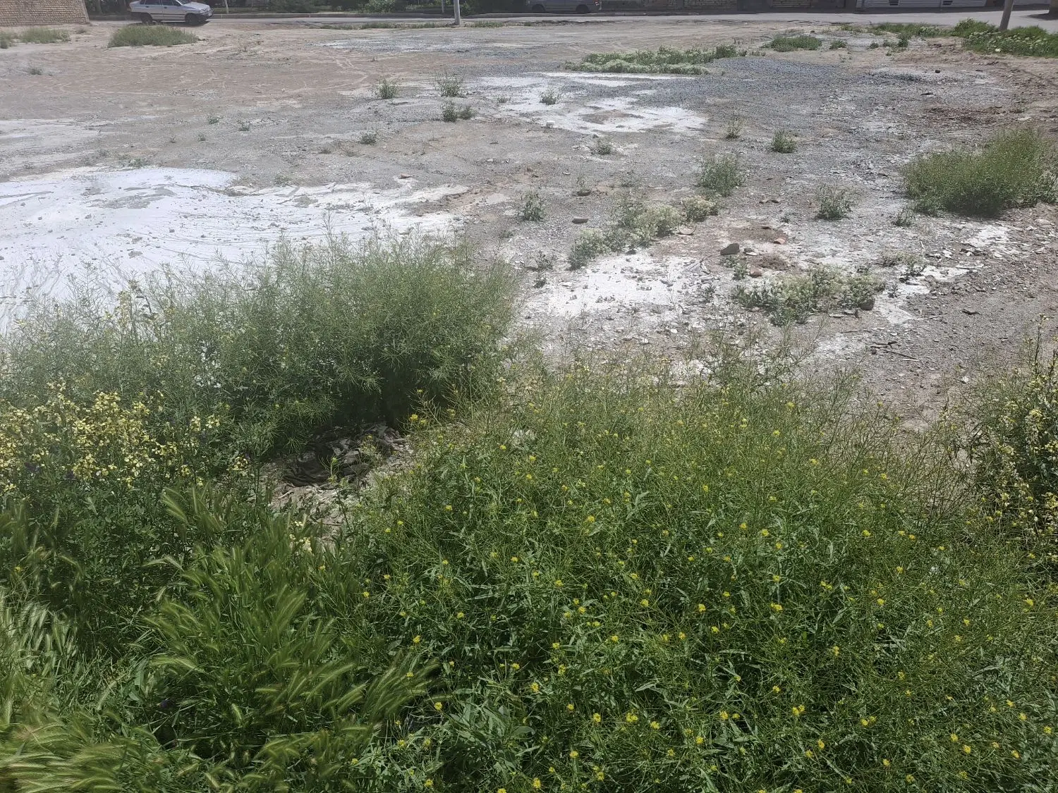 زمین مسکونی