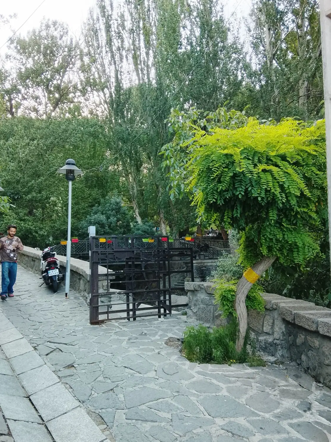 زمین حسن آباد