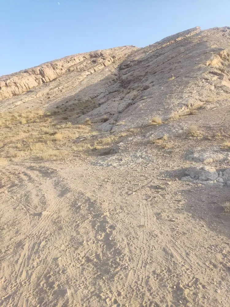 زمین طاهرآباد