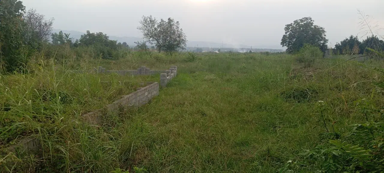 زمین شهرکی آمل .آغوزبن .روستای تلیران