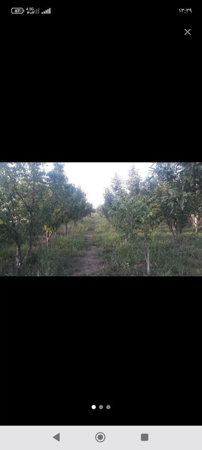 باغ بر جاده هرسین رو به روی پمپ بنزین تمرگ.
