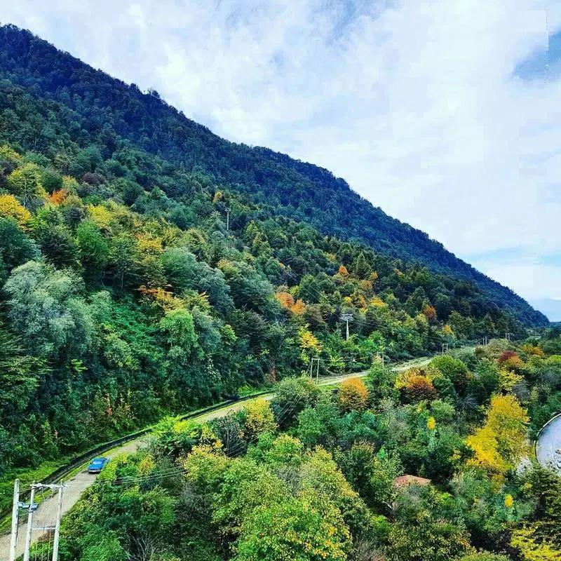 زمین در پریکدان