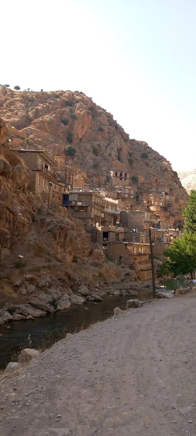 مغازه میدان دام سرطاف