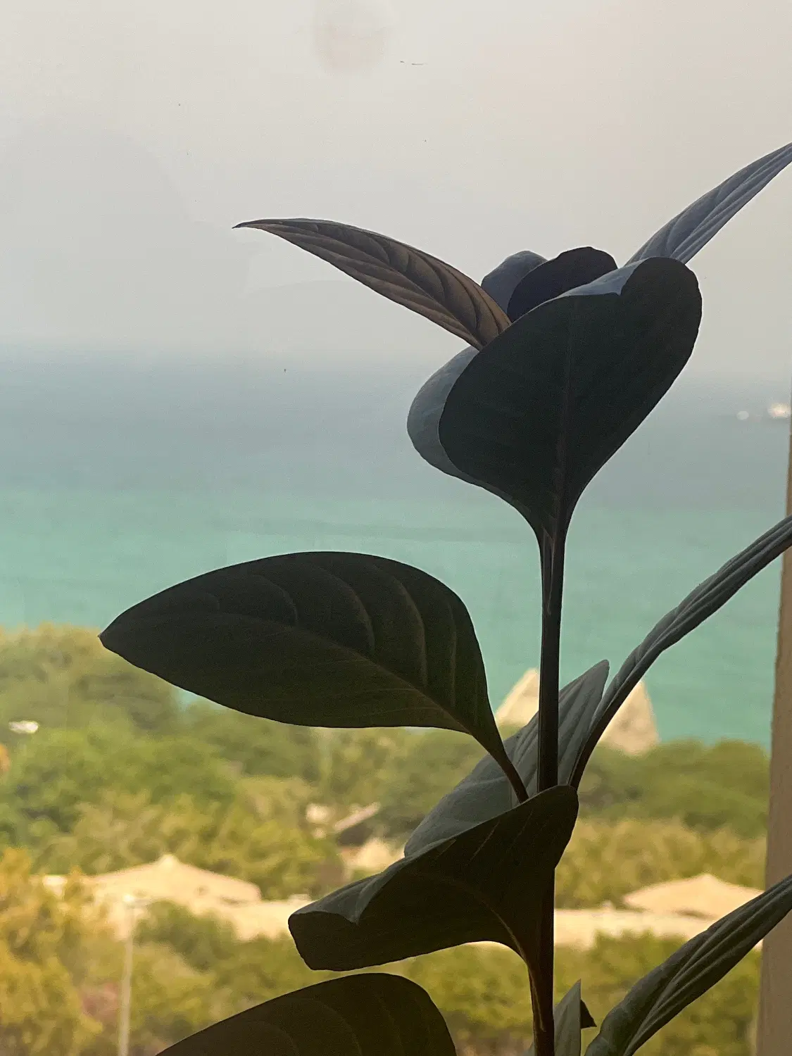 یک خوابه دامون کیش ایر