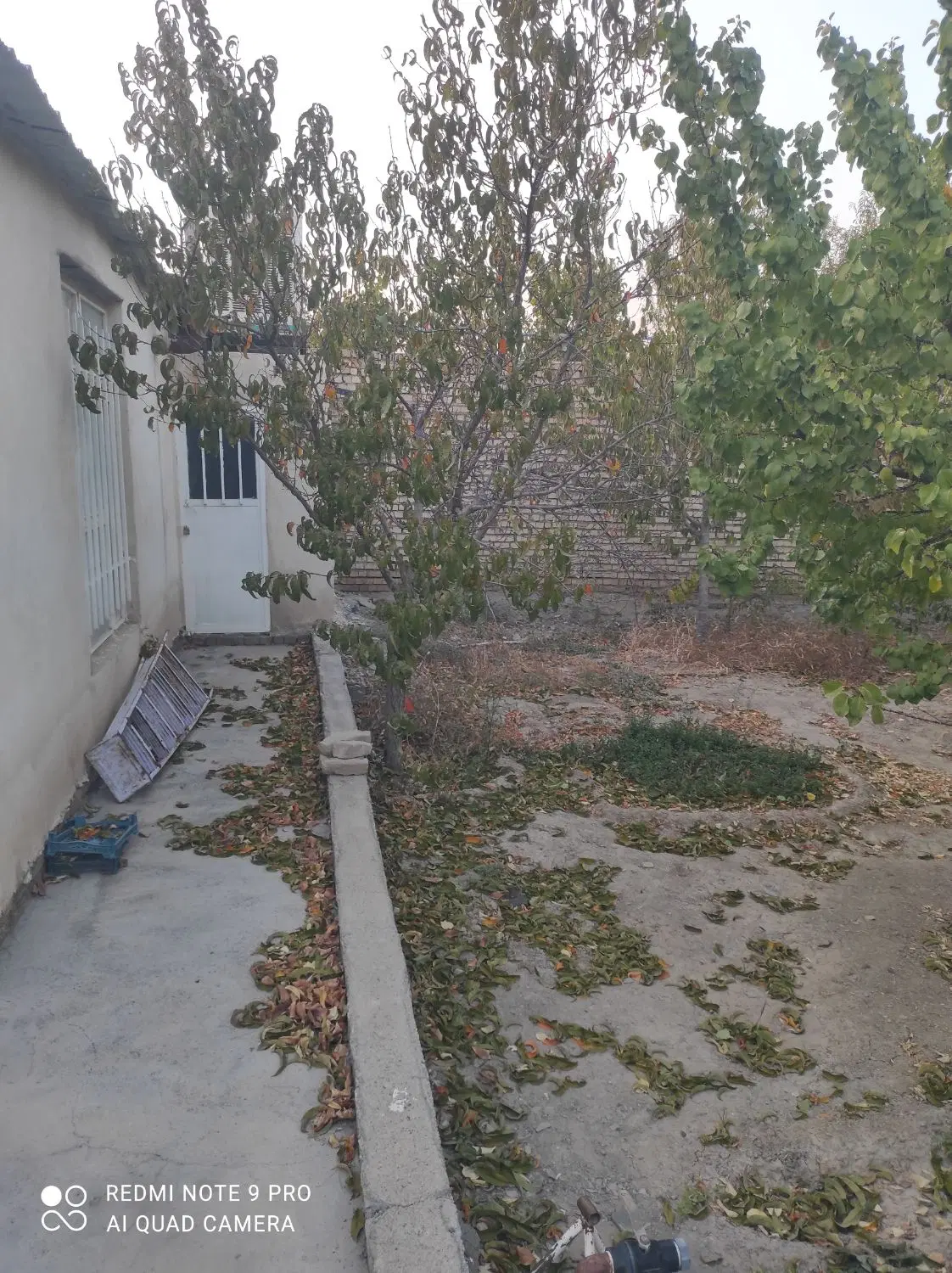 کاهو باغ ویلا شرکت برق بهارستان
