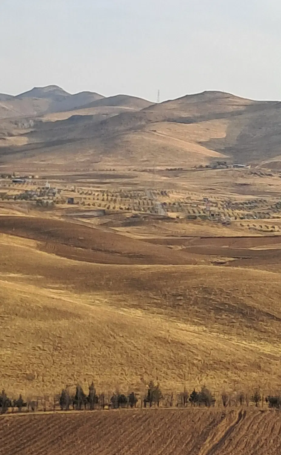 فروش فیش افسریه در مجاورت نورپران.