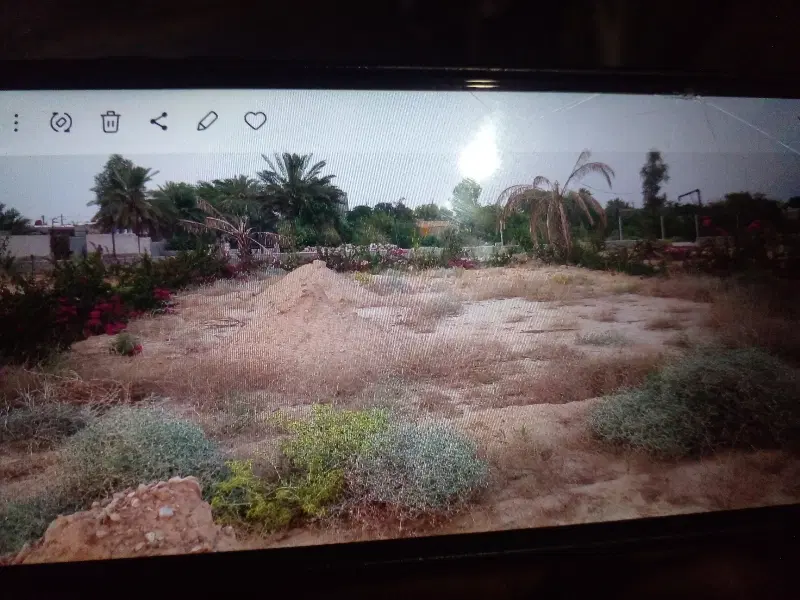 باغ ویلای