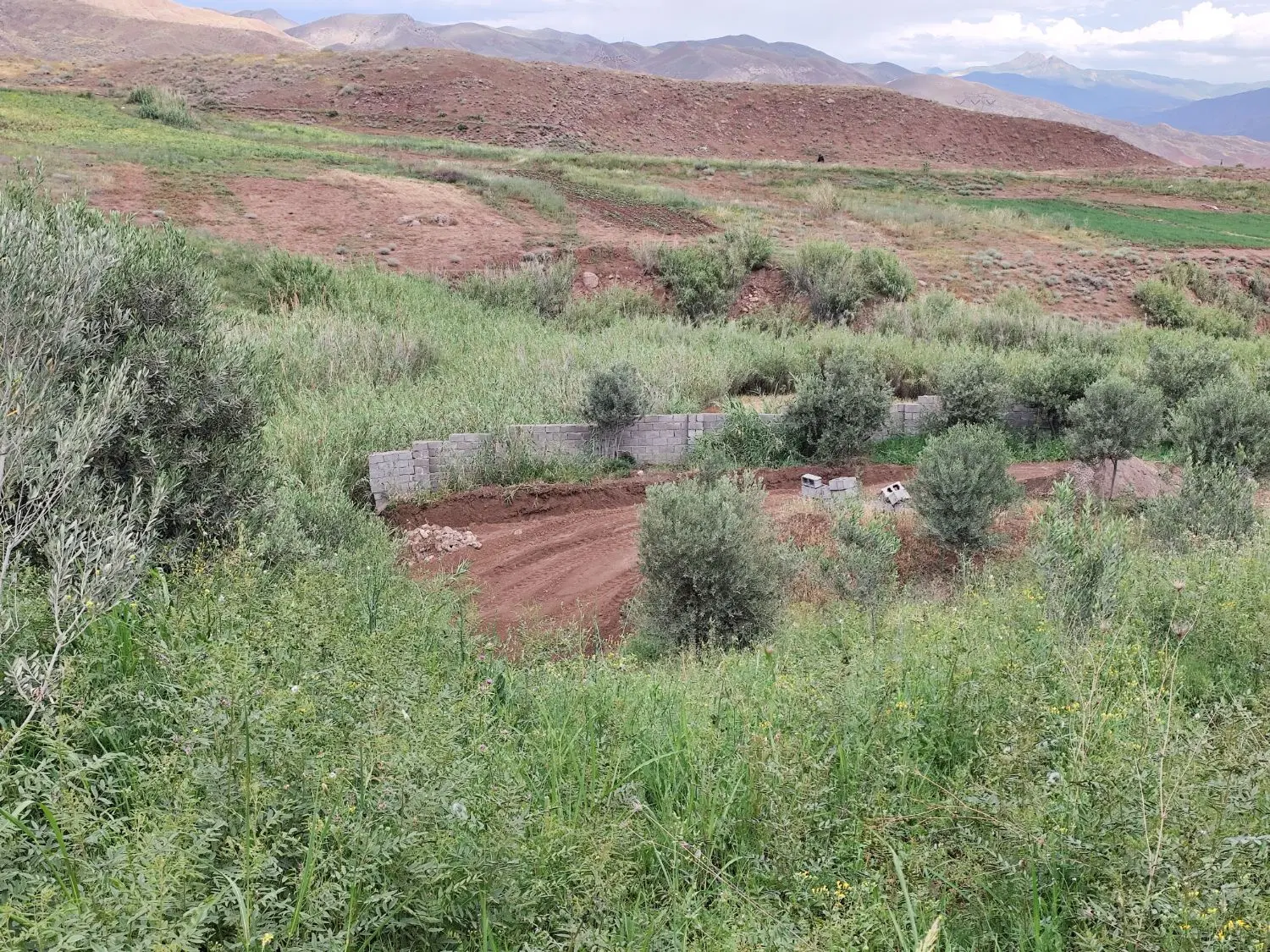 باغ زیتون ۳۲۰۰متر