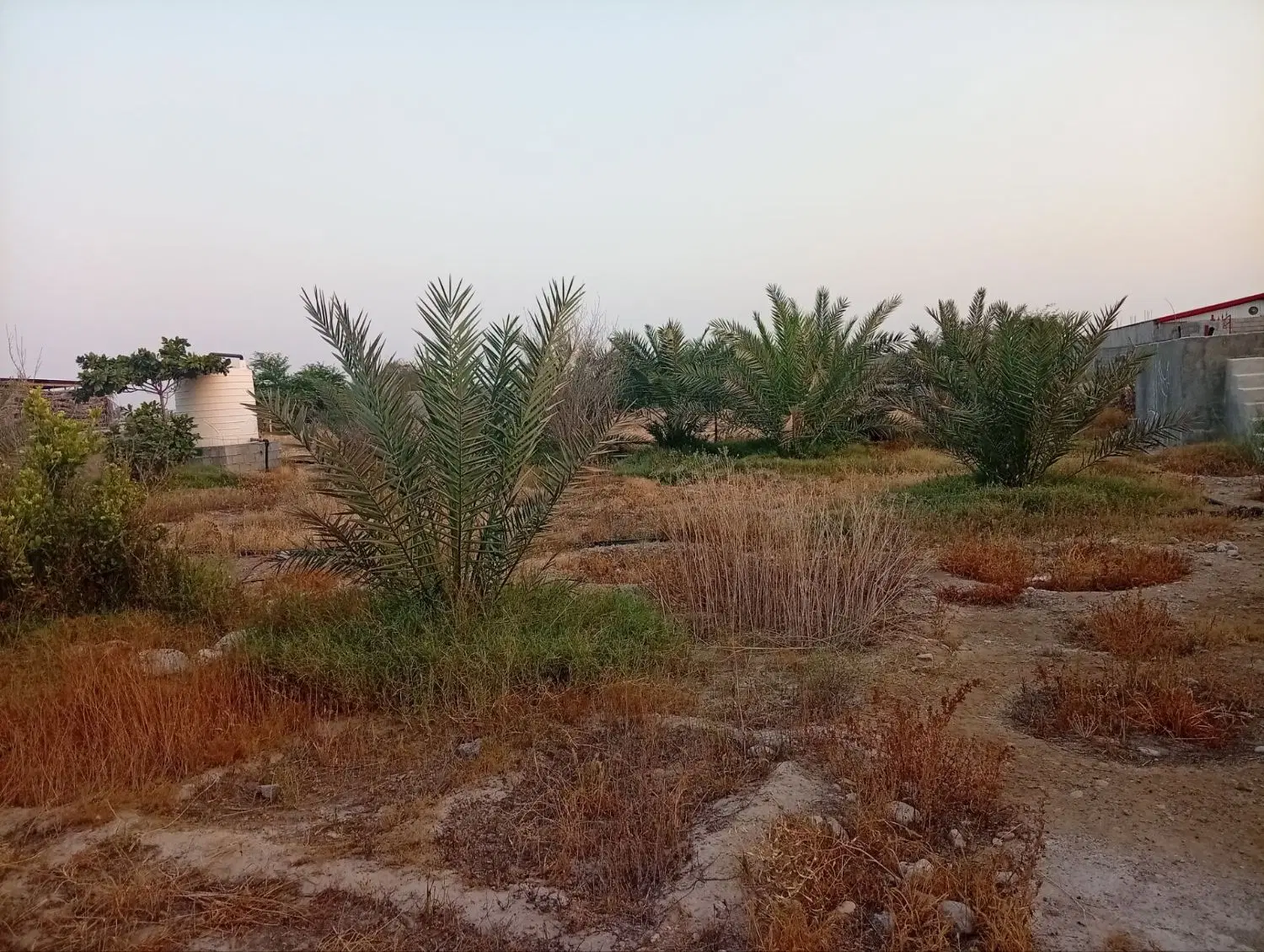 فروش خونه باغ ۷۰۰ متری_سرخون
