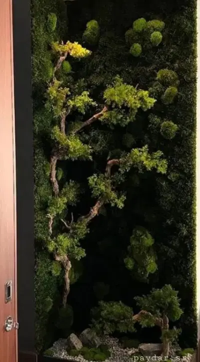 مغازه ۲۰ متری در خیام