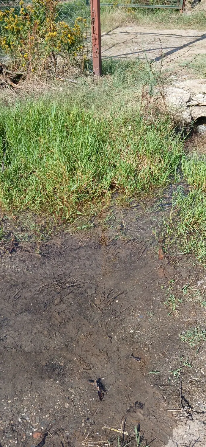 زمین خانه سری روستای کالکت