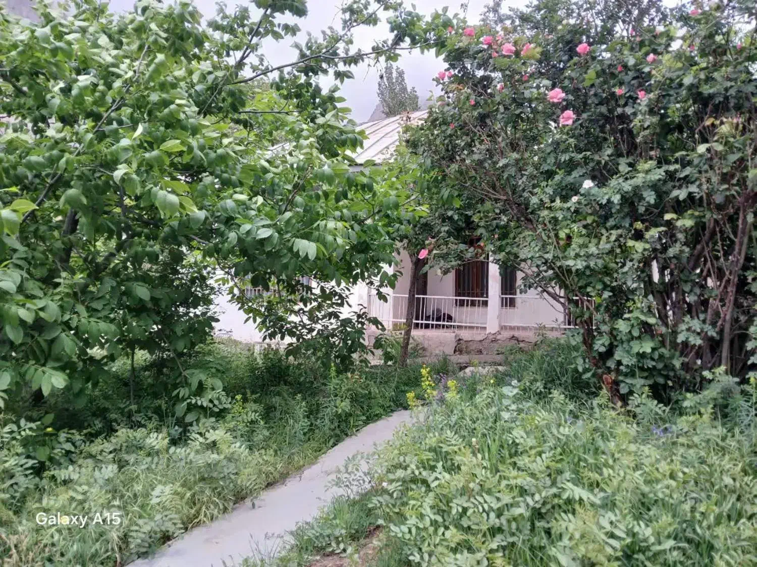 فروش خانه و باغ ۳۴۰۰ متری-لاریجان امیری