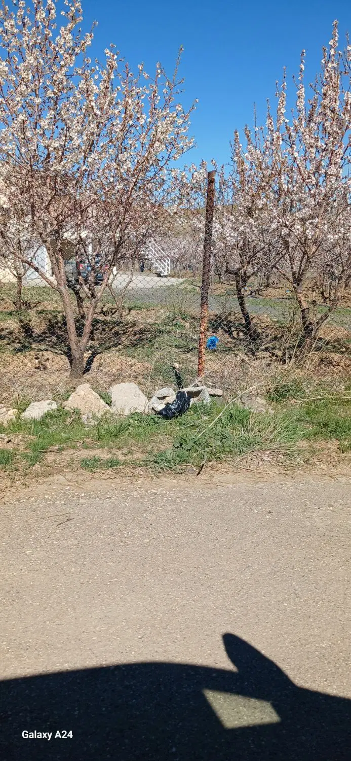 زمین باغ