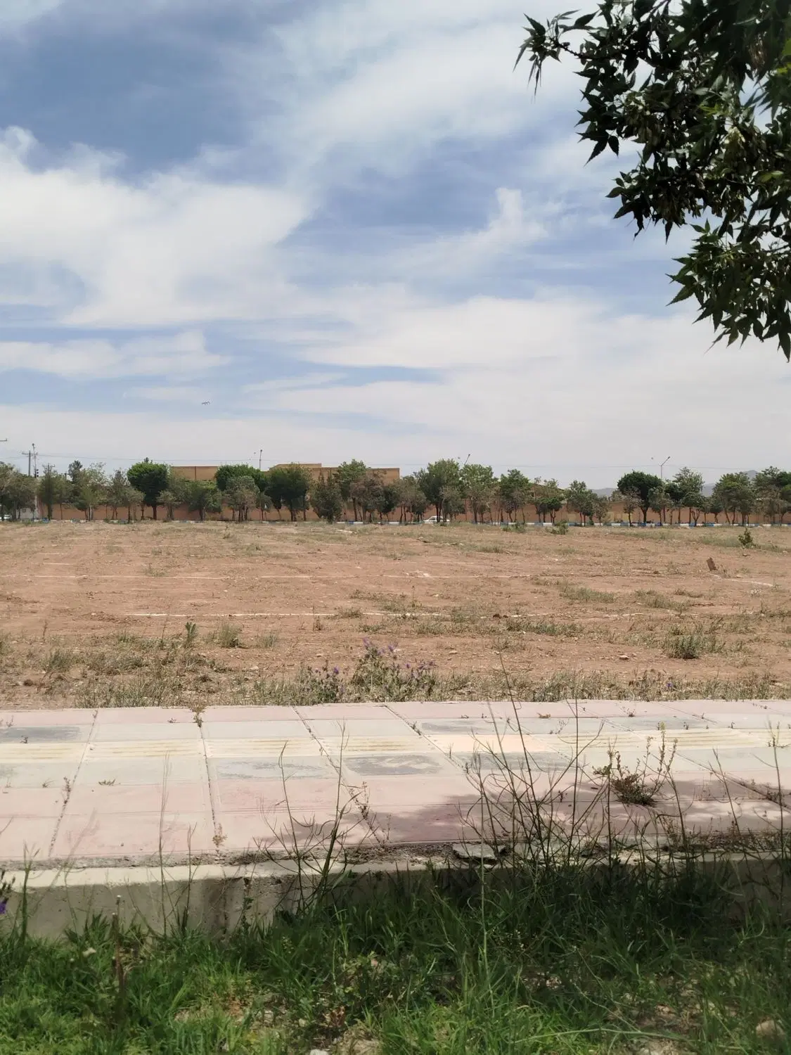 فروش زمین