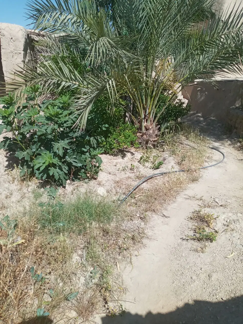 فروش خانه قدیمی