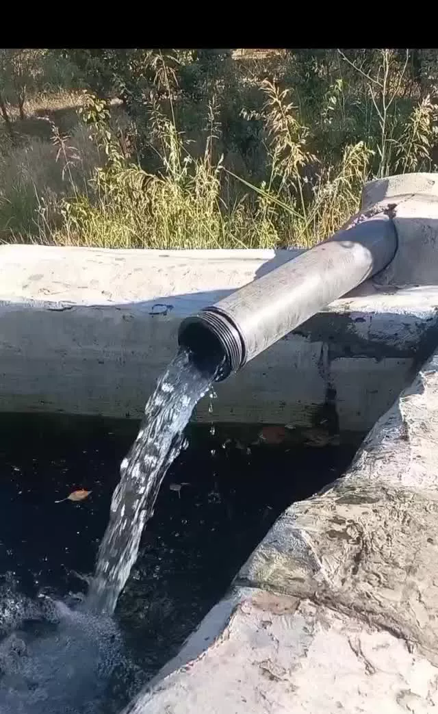 باغ مثمر