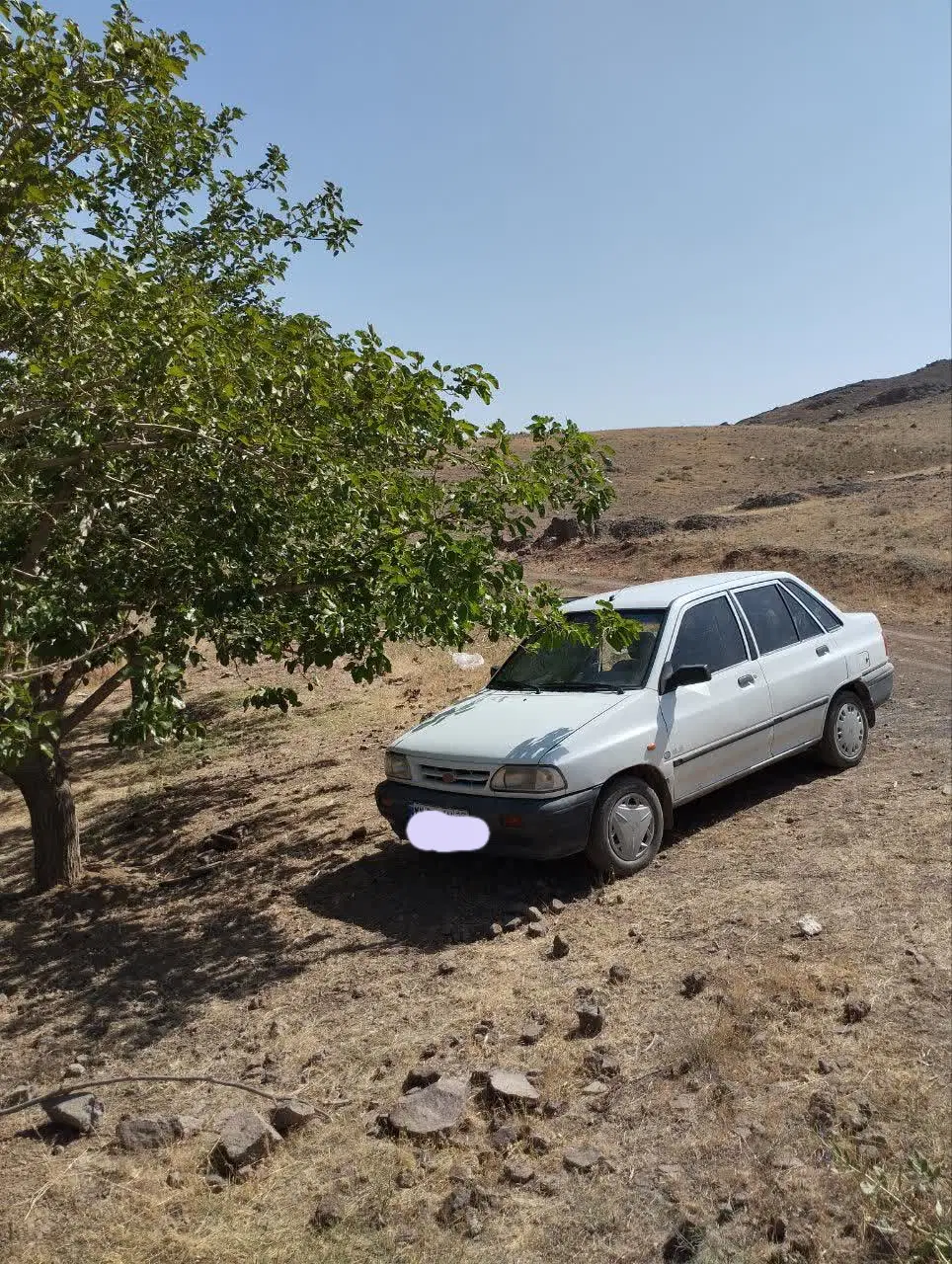 باغ فروشی اطراف زیاران