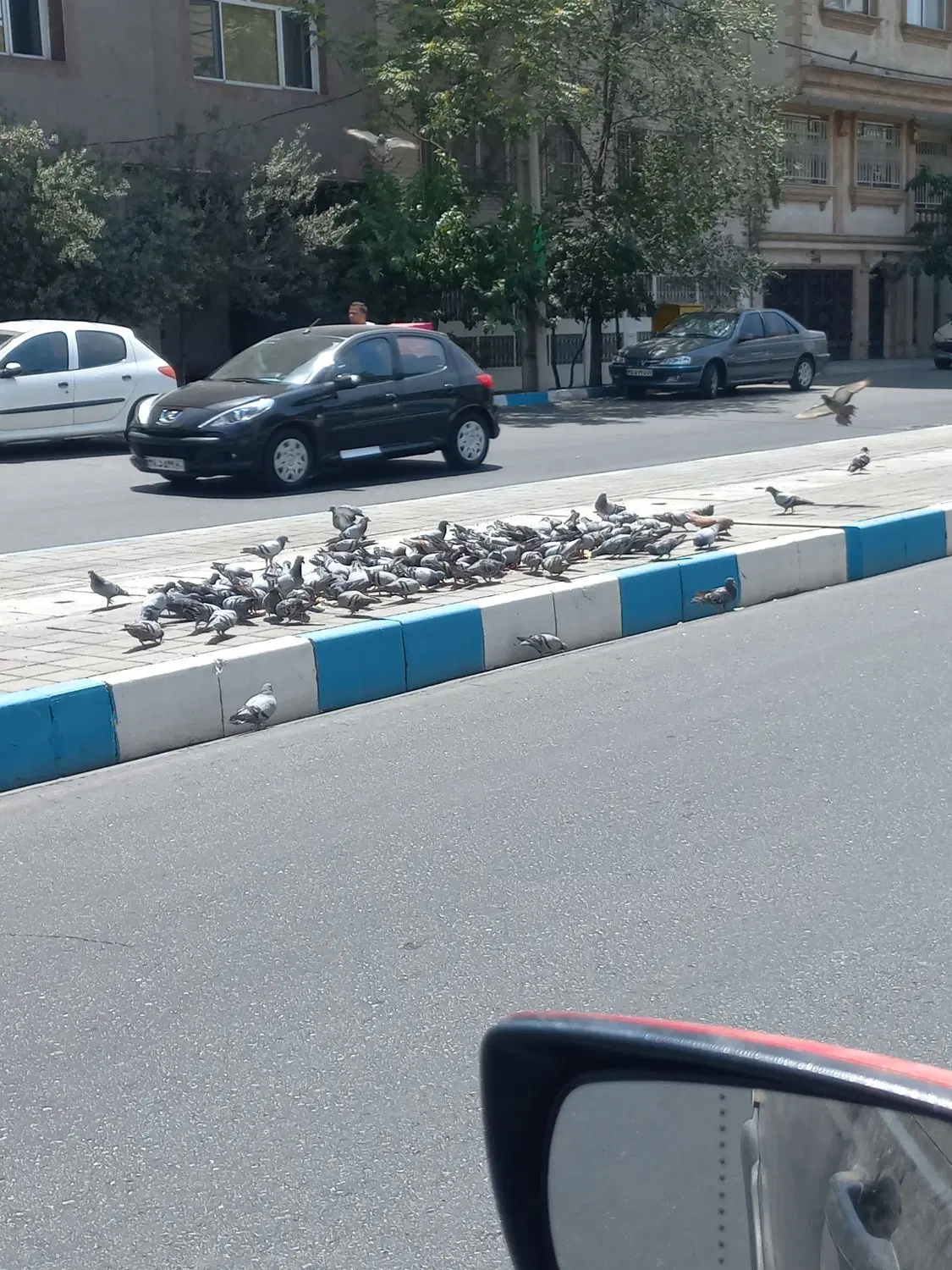 اجاره پارکینگ برای خودرو و ماشین
