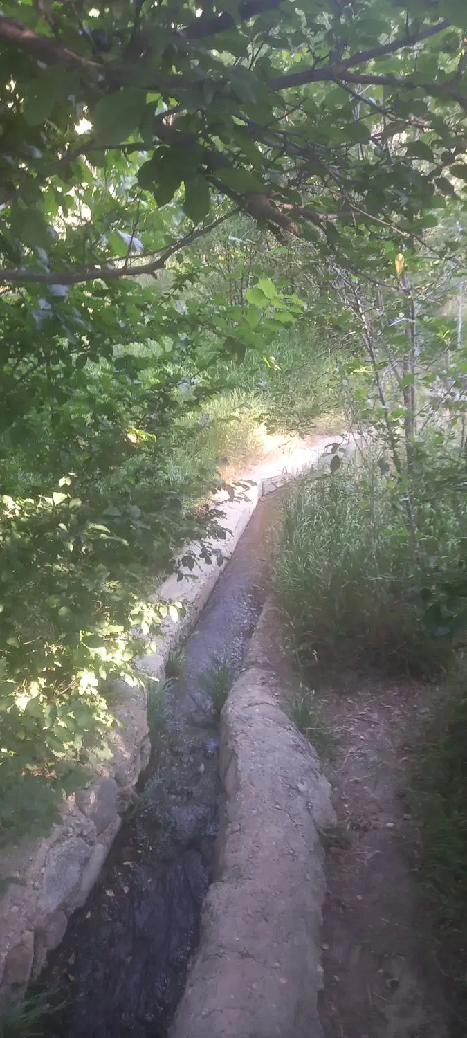 زمین باغ