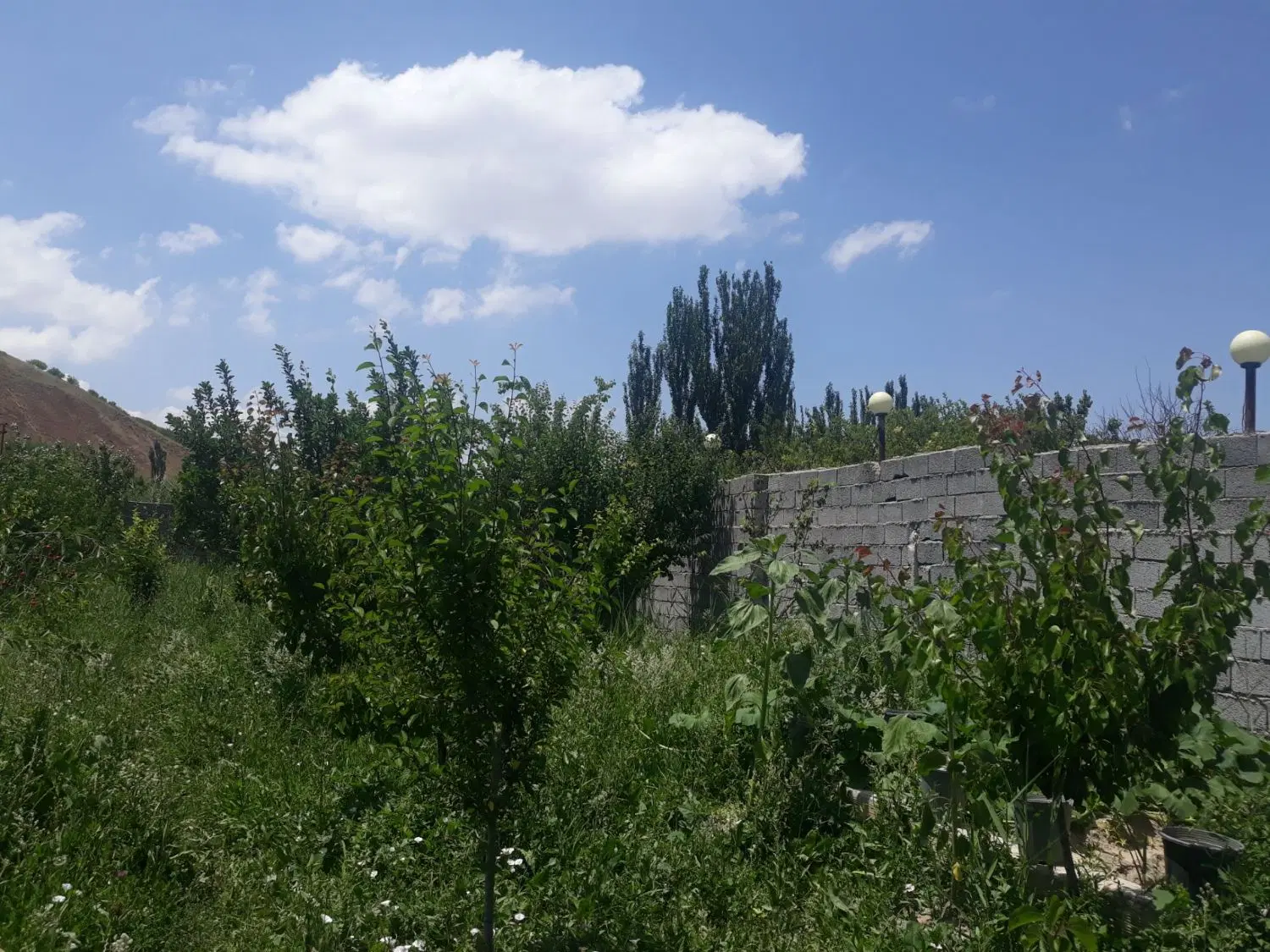 باغ در ایوند