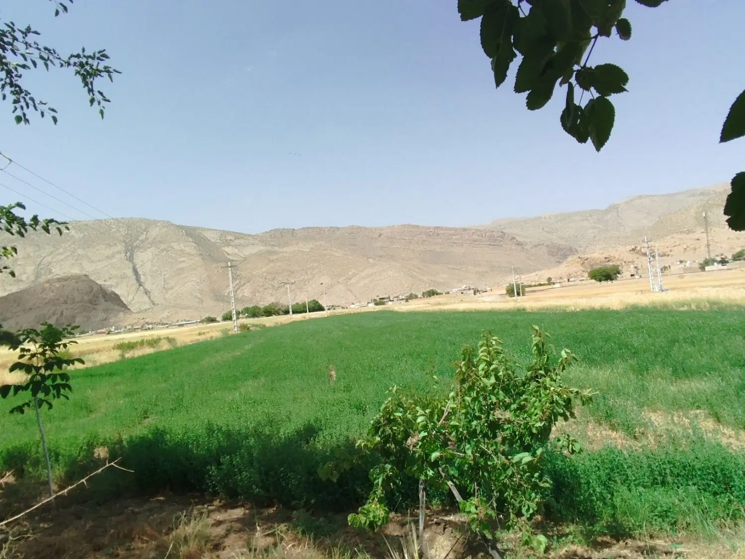 زمین مسکونی ثبت احوال