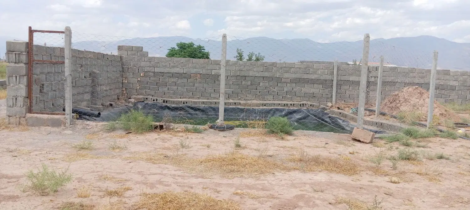 باغ. زمین