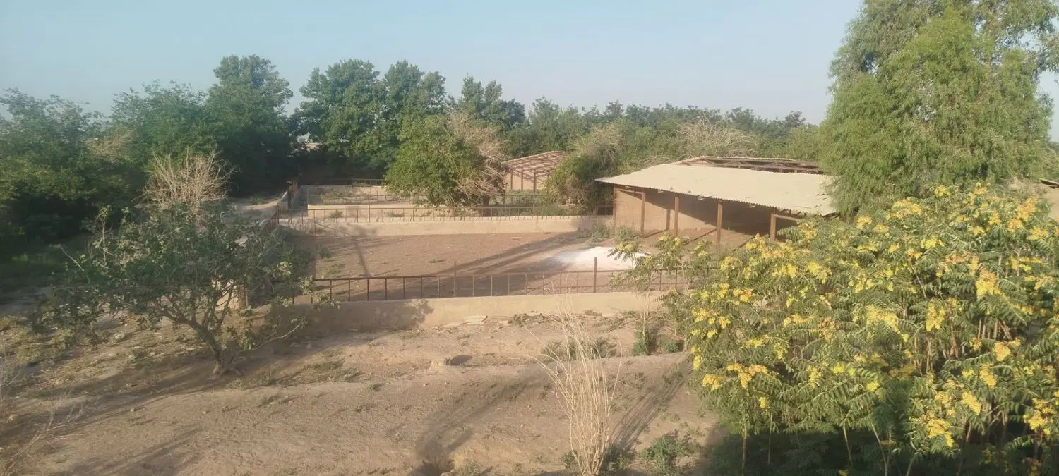دو هکتار دامداری