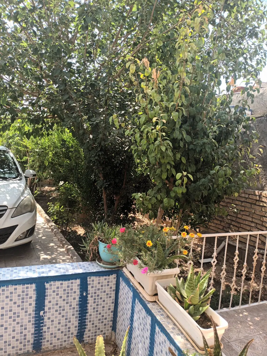 خانه ویلایی ۲۲۵ متری شیک