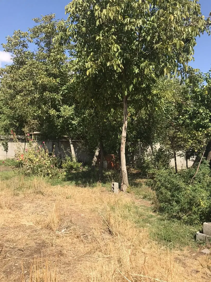 زمین هومند وادان گلستان