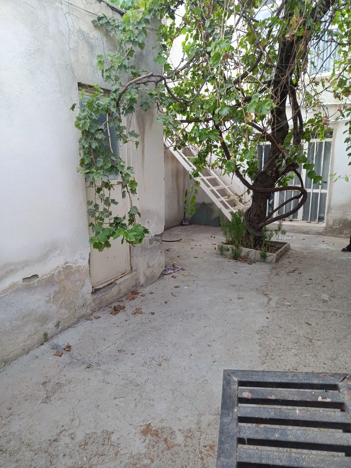 خانه گلشن