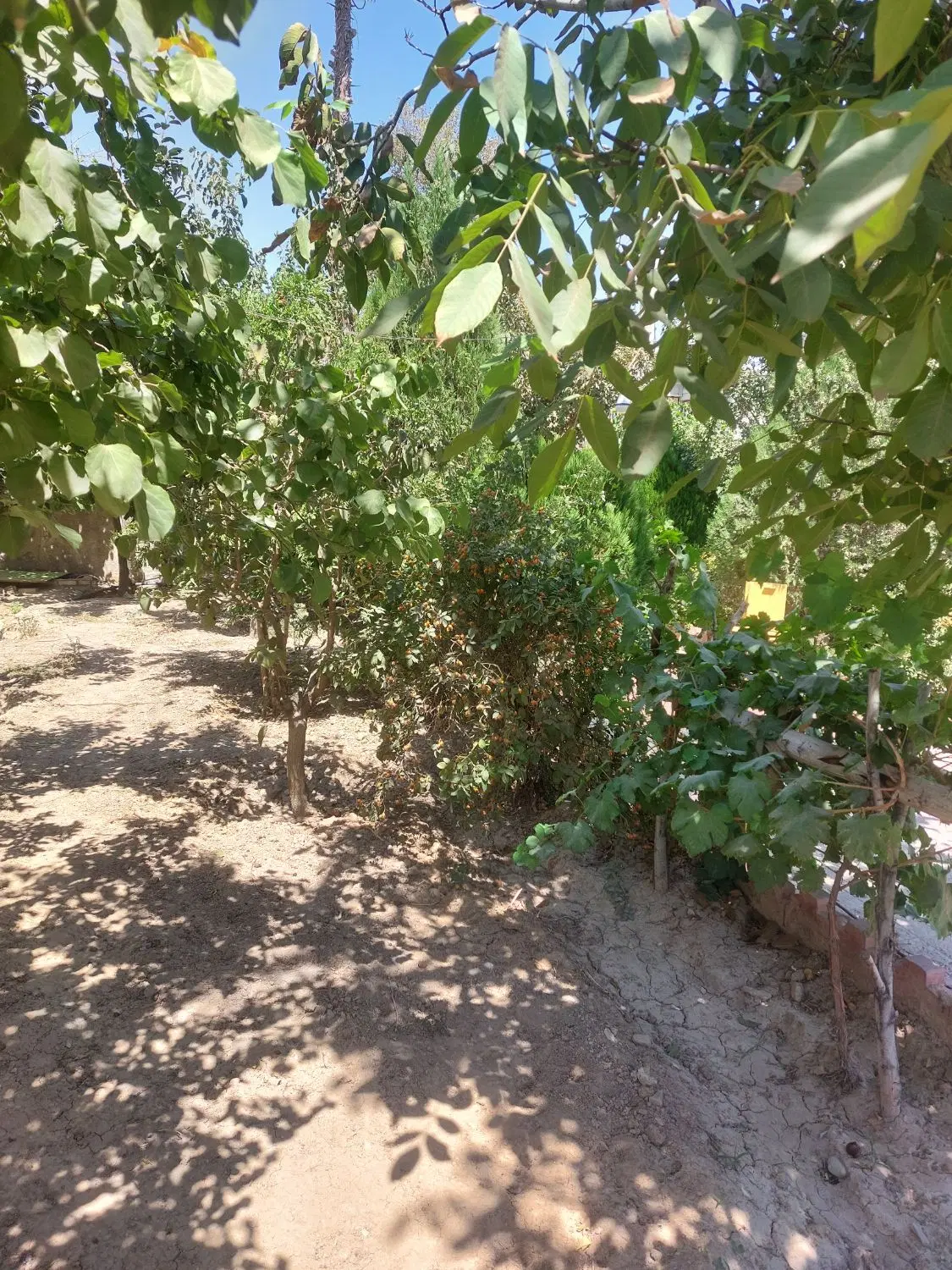 ملارد ویلای جنوبی ابتدای کوچه پنجم