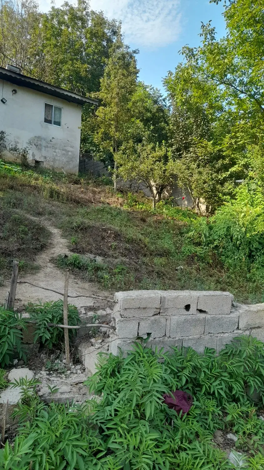 ۲۰۰ متر زمین در ییلاق روشنده