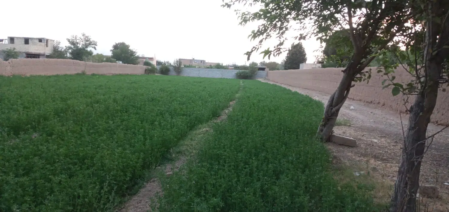 زمین باغی مناسب جهت باغ دامداری اسب داری و...