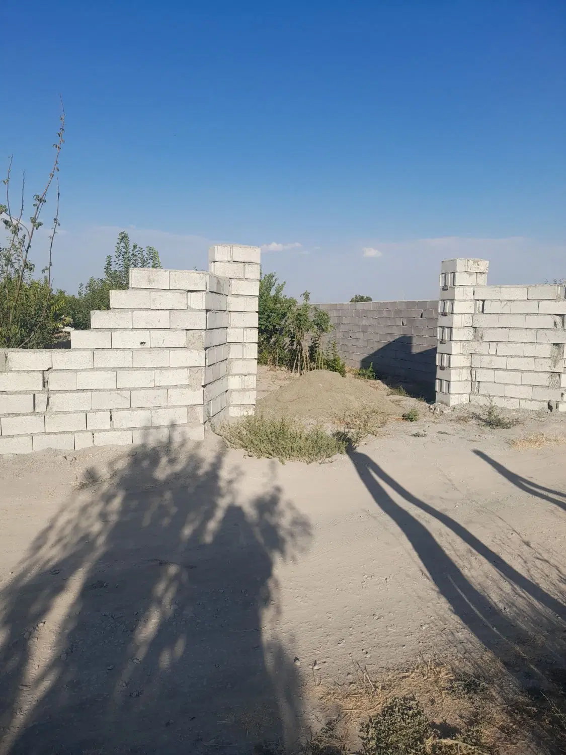 باغچه در اردوشاهی