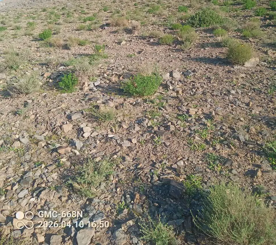 فروش زمین مسکونی داوران