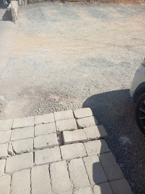 باغ نقلی